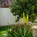 בית הארחה La Casita De Invitados