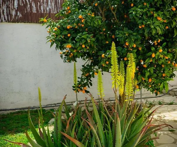 Гостьовий будинок La Casita De Invitados