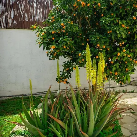 Konukevi La Casita De Invitados