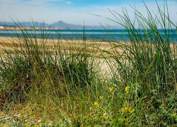 Casa de hóspedes La Casita De Invitados